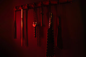 Maxim Salon massage erotique Zurich hotesses 09